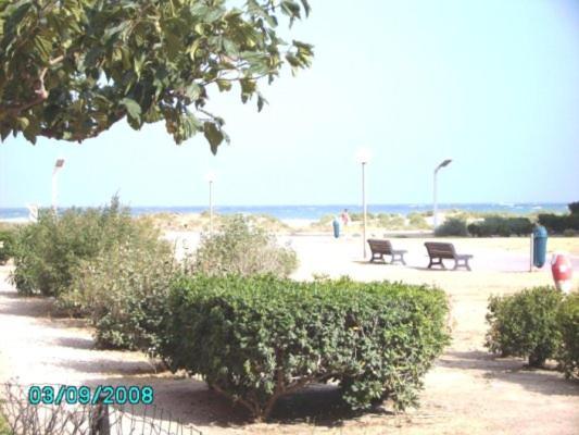 Barcares F2 Cabine, Rdc, Plage 50 M, 28 M2, 6 Personnes Le Barcarès Εξωτερικό φωτογραφία